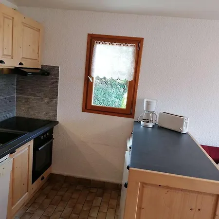 3 Pieces Avec Garage, 6 Couchages Au Grand-bornand - Fr-1-241-100
