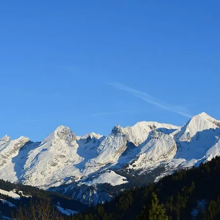 3 Pieces Avec Garage, 6 Couchages Au Grand-bornand - Fr-1-241-100 * Le Grand-Bornand